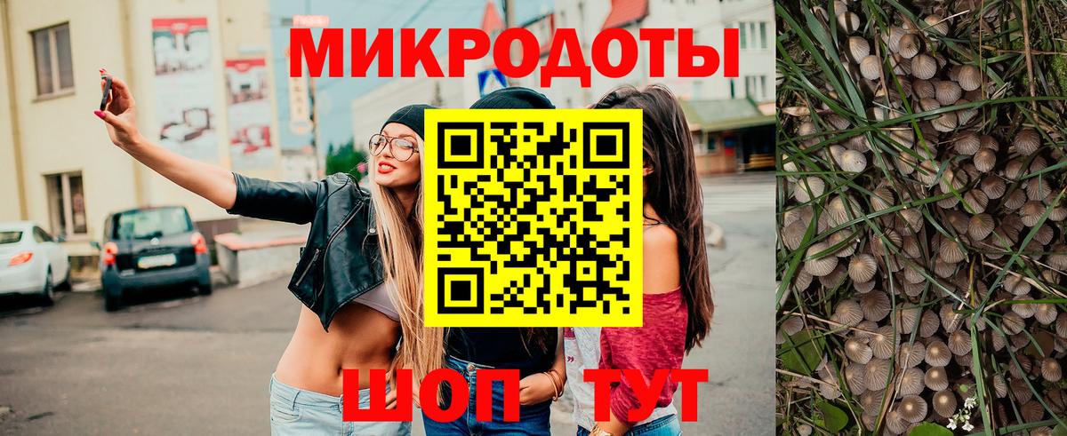 Псилоцибиновые грибы мухоморы Спасск-Дальний