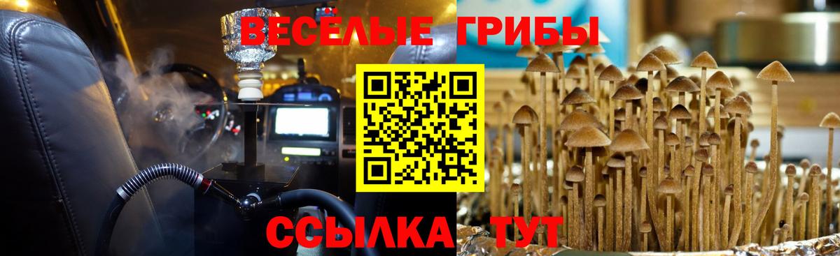 Галлюциногенные грибы ЛСД  Галлюциногенные грибы ЛСД  Вход с VPN  Спасск-Дальний 