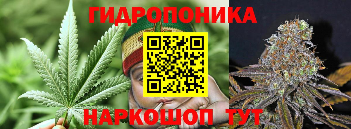 Конопля OG Kush  Канабис Amnesia  Вход с VPN  Спасск-Дальний  Шишки марихуана Ganja 